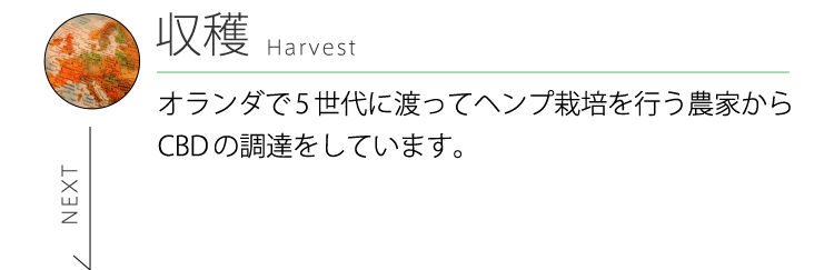 収穫 Harvest オランダで5世代に渡ってヘンプ栽培を行う農家からCBDの調達をしています。 NEXT